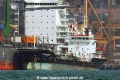 Nepamora (MS-180815).jpg