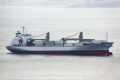 Lady Rosebud (MS-240710-02).jpg