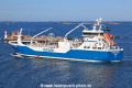 Coralius TL-300523-3.jpg