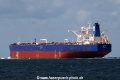Hilwah (JS-280415-26).jpg