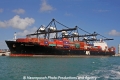 APL Sardonyx DS-081213.jpg