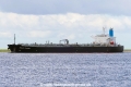 Bright Fortune (KK-270915-0).jpg