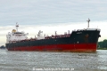 Axelotl (OK-260717-1).jpg