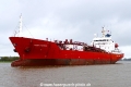 Coral Pavona (OK-251017-1).jpg