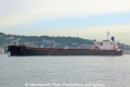 Bulk Asia (OK-230512-0).jpg