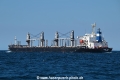 Amira Hana OS-240622-23.jpg