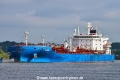 Bagheera (KB-D180723-01).jpg