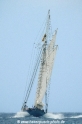 Ruth 291115-07.jpg