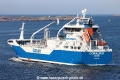 Coralius TL-300523-2.jpg