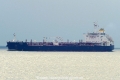 Axelotl (KK-130616-0).jpg