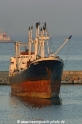 Sandrella (221006-4).jpg