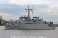 Primula (OK-250907-1).jpg