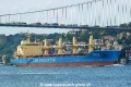 Amelie (OK-070814-0).jpg