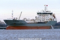 Atlantic Mate (OK-060116-1).jpg