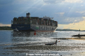 CMA CGM Trocadero 030821-24.jpg