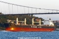 Amis Brave (OK-040917-2).jpg