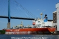 Argent Iris 080613-04.jpg
