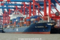APL Indonesia (LW-110414-03).jpg