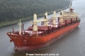 Maple Star RA-230820-00.jpg