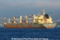 Maple Ruby (OK-121013-4).jpg