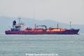 Saehan Zenith OS-241024-01.jpg