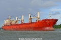 Maple Star (OK-230820-0).jpg