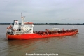 Samc Swan KH-120922-9.jpg