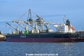 Maple Arrow OS-281124-16.jpg