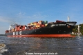 MSC Caterina 151019-13.jpg