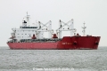 Mare Trader SH-030114-01.jpg