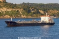 Sakura Advance TL-170626-1.jpg