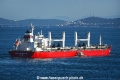 Mare Transporter OS-210416-16.jpg