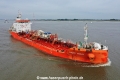 Samc Swan KH-120922-7.jpg