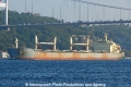 Maple Ruby (OK-121013-2).jpg