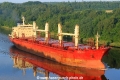 Maple Glory JB-250621-06.jpg