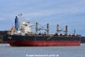 Marlin 5 (KB-D010123-08).jpg