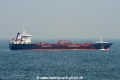 Selandia Swan 150711.jpg