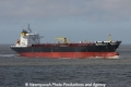 Seamullet JG-190312.jpg