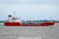Scarlatti (KK-220722-1).jpg