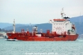 Sea Lion 1 (OK-300114-1).jpg