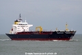 Searay (JS-100910-01).jpg