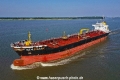 Seashark KH-300719-4.jpg