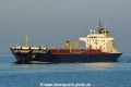 Seamullet HK-040417.jpg