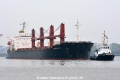 Marvelette (KB-D291114-03).jpg