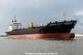 Seamullet OS-290715-07.jpg