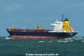 Seamullet HK-050915.jpg