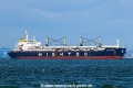 Xin Hai Tong 16 (MS-060825-02).jpg