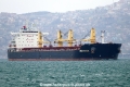 Mega Star (OK-070315-1).jpg
