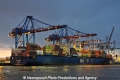 MSC Fortunate (KB-D140313-03).jpg