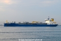 Seadevil OS-190626-13.jpg